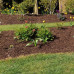 Bark Mulch (Fine Grade) -75L Bag - Half Pallet Bark Mulch (Fine Grade) -75L Bag - Half Pallet